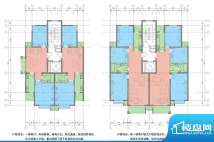 国泉城户型图楼层平面图 