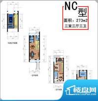 泰山御府苑户型图14 3室3厅3卫面积:273.00平米