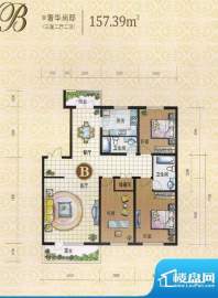 凯森蒙华府B户型奢华面积:157.39m平米