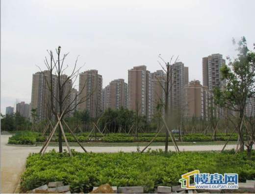 金元国际新城实景图