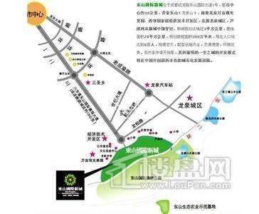 东山国际新城交通图