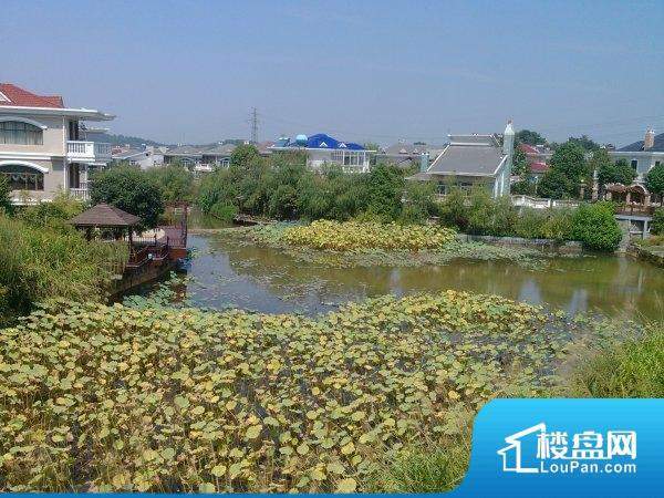 同升湖山庄小区