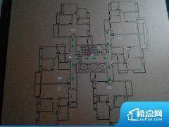 5室2厅2卫 东南 177.00㎡