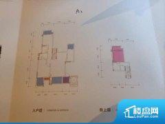 4室2厅2卫 东南 110.00㎡