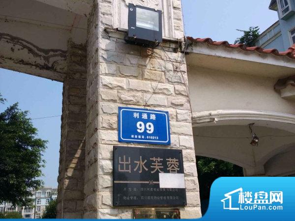 成都小区 天府新区小区 出水芙蓉