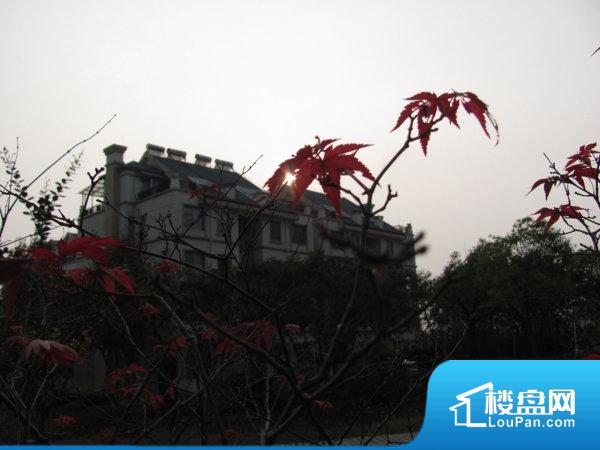 南京绿野仙踪实景图