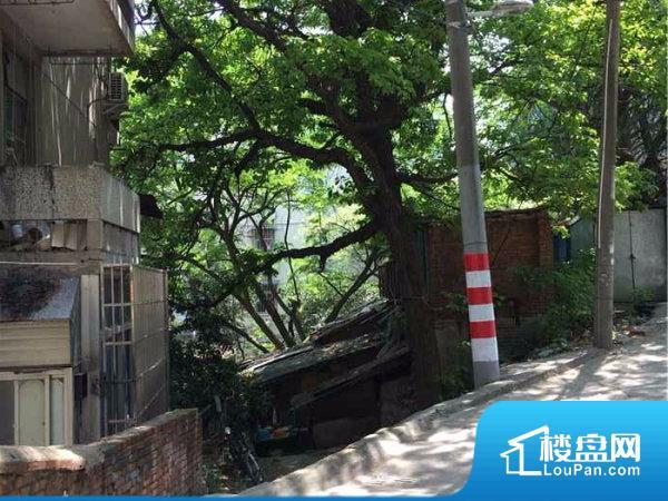 镇江路59号小区