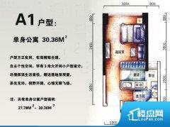 1室0厅1卫 东南 29.20㎡