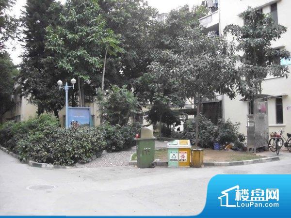 深圳市木材有限公司住宅区