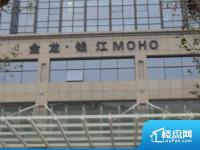 金龙钱江MOHO