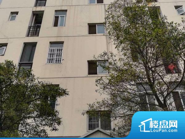 武汉汇龙花园房价_二手房_租房-武汉楼盘网