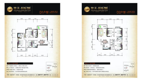 楚天世纪城D1/D2户型
