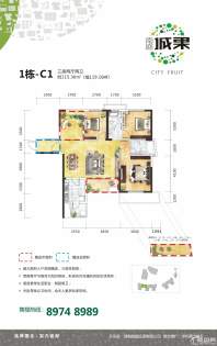 南庭城果1栋-C3户型图