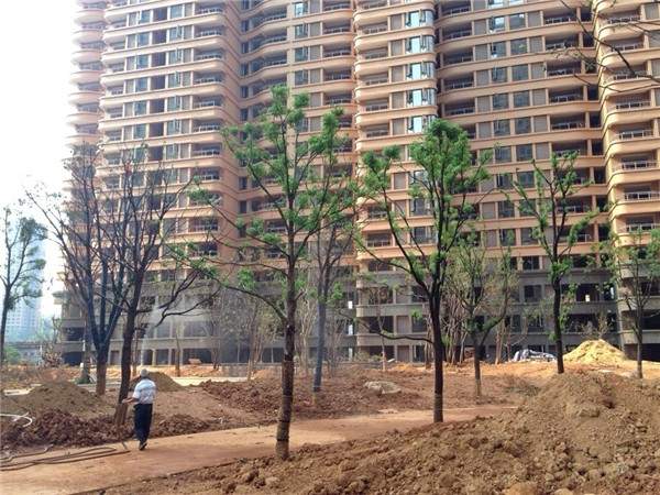 园林绿化正在建设中2013.9.2