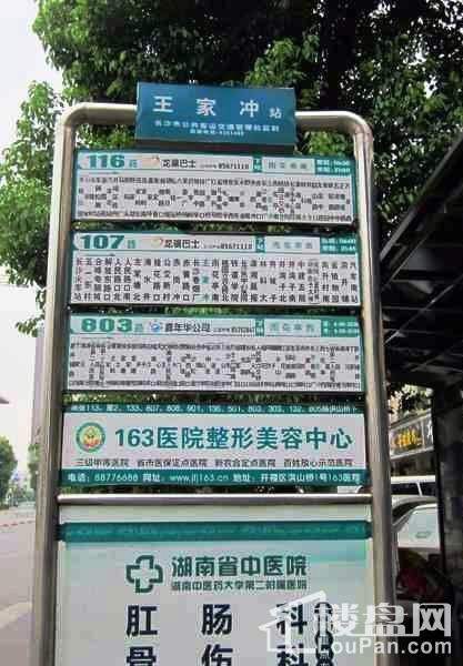 纳爱斯阳光锦城配套图公交站牌