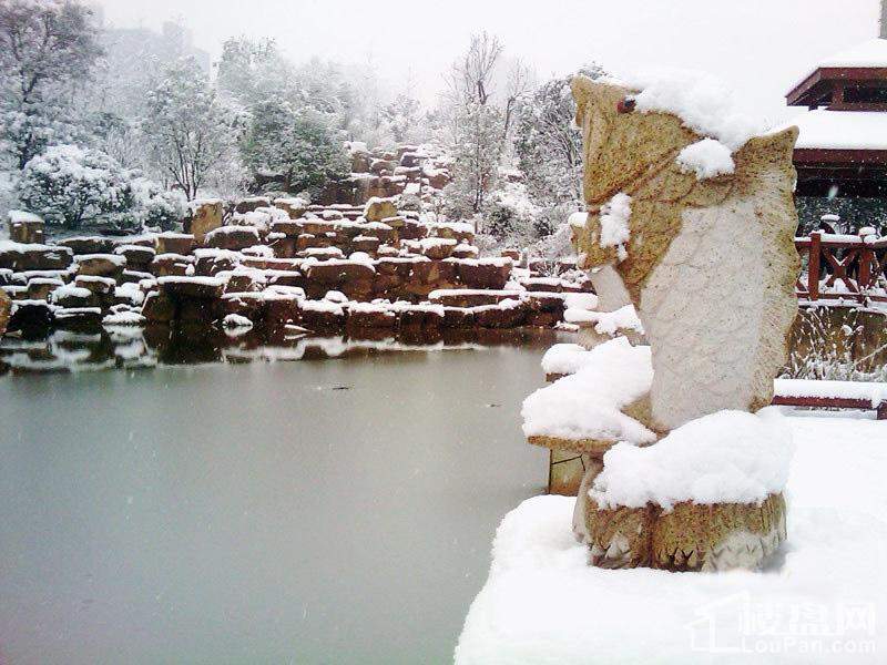 雪景-池（2011.01.24）