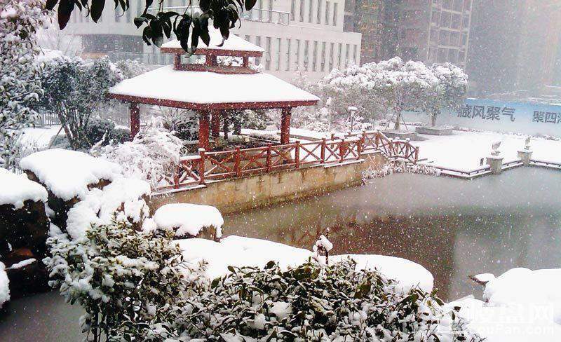 雪景-庭院（2011.01.24）