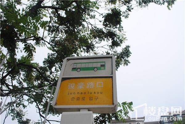 恒广国际景园公交车站