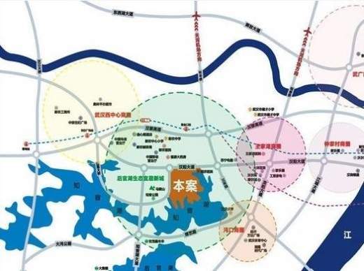 武汉中国健康谷位置图