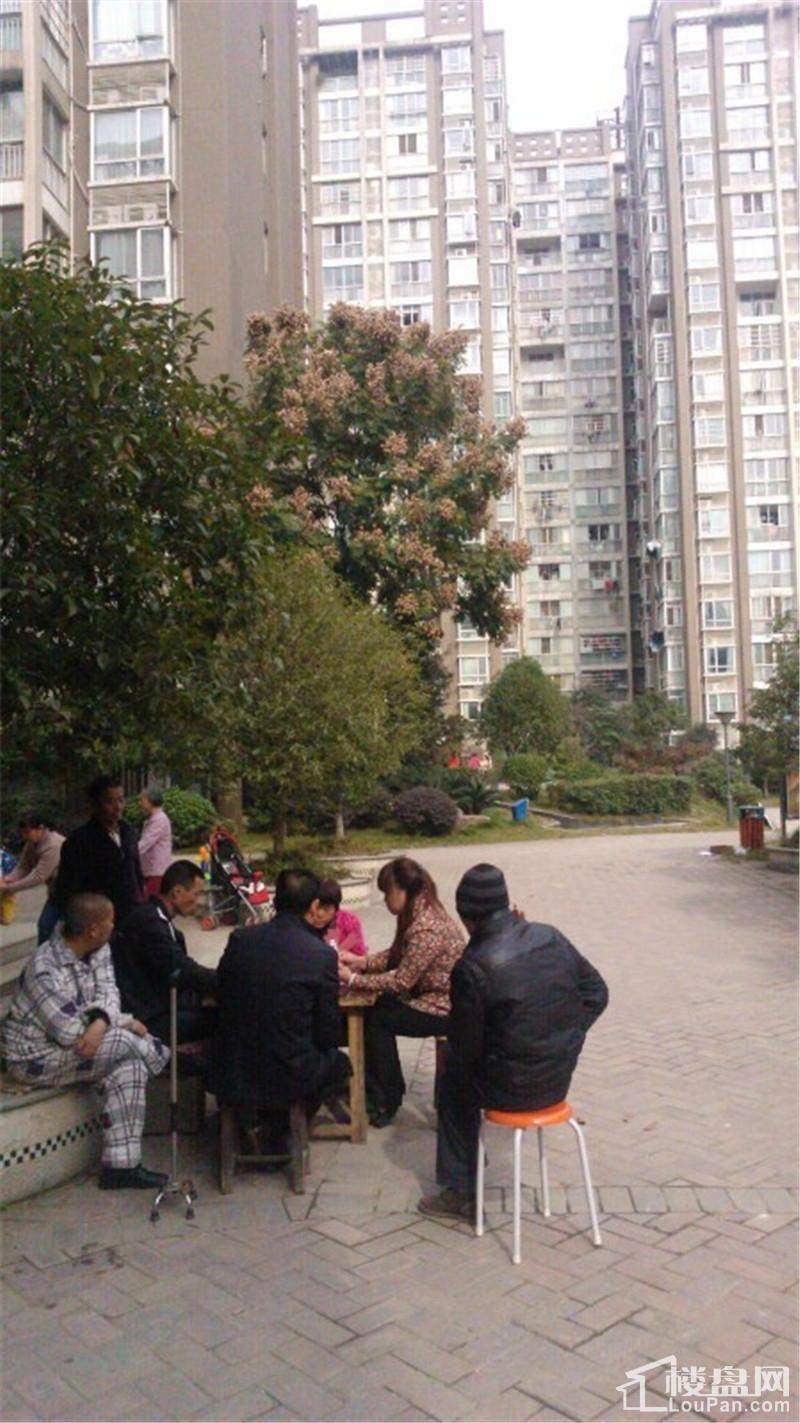 2013.11.20实景图