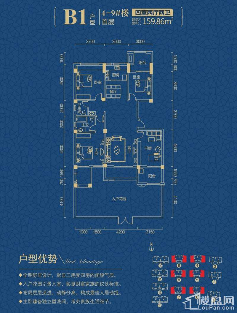 B1户型