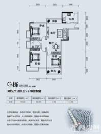 G栋05/06户型