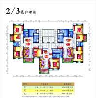 2/3栋3户型