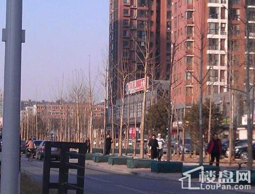 北京城建红木林配套图