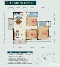 C栋6号户型