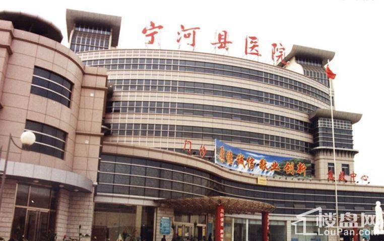 海航中国集周边临近的宁河县医院