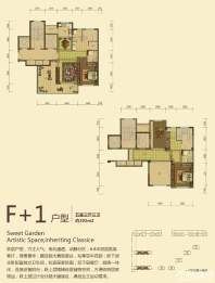 F+1户型