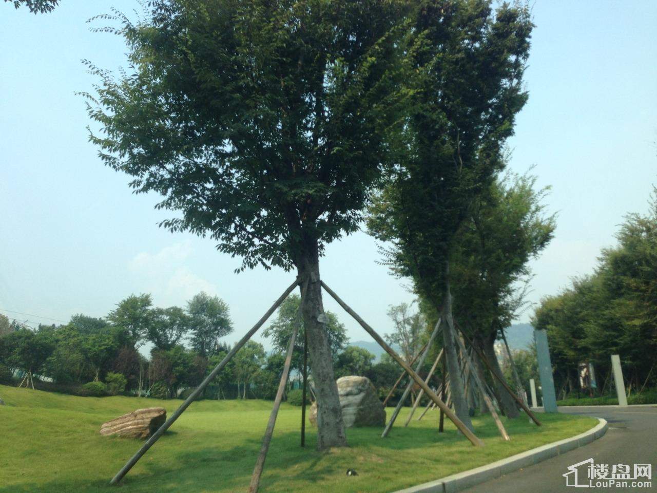 复地山与城项目实拍