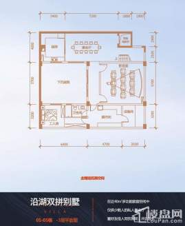 双拼(6) 户型图