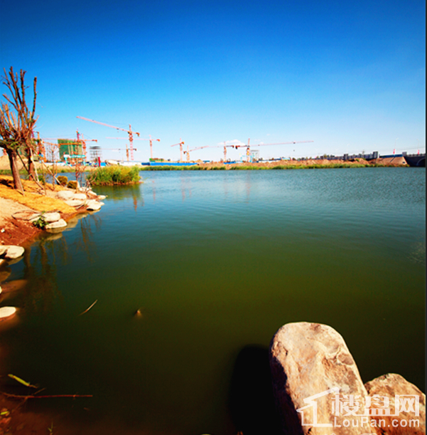 长滩湿地公园实景图