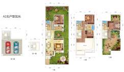 一期联排别墅A2北户型见光户型