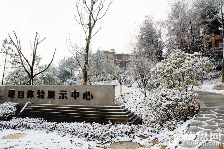 雪景图