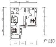 长房中庭国际D户型