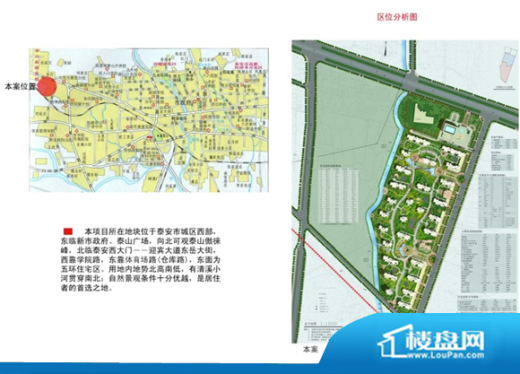 泰山新兴园位置图