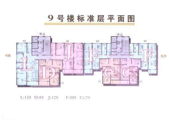 9号楼标准层平面图