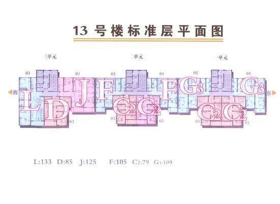 13号楼标准层平面图