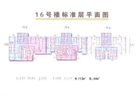 16号楼标准层平面图