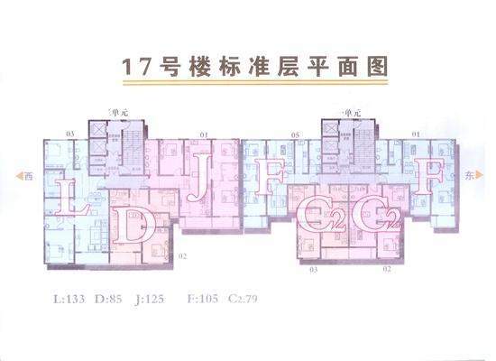 17号楼标准层平面图