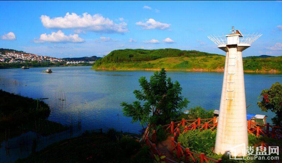 龍胤花园三期江景风景