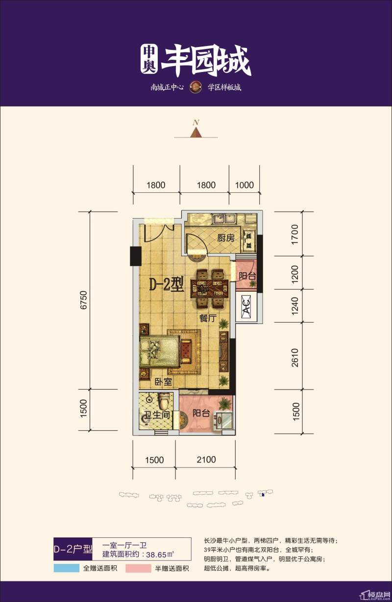 丰园城户型图D-2