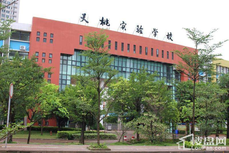 天桃实验学校