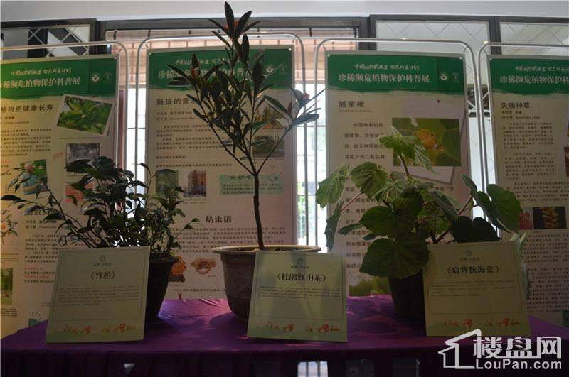 2015年7月11日植物科普展