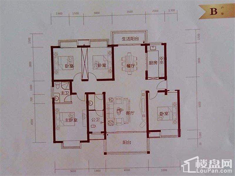 墨池·阳光里B户型户型图