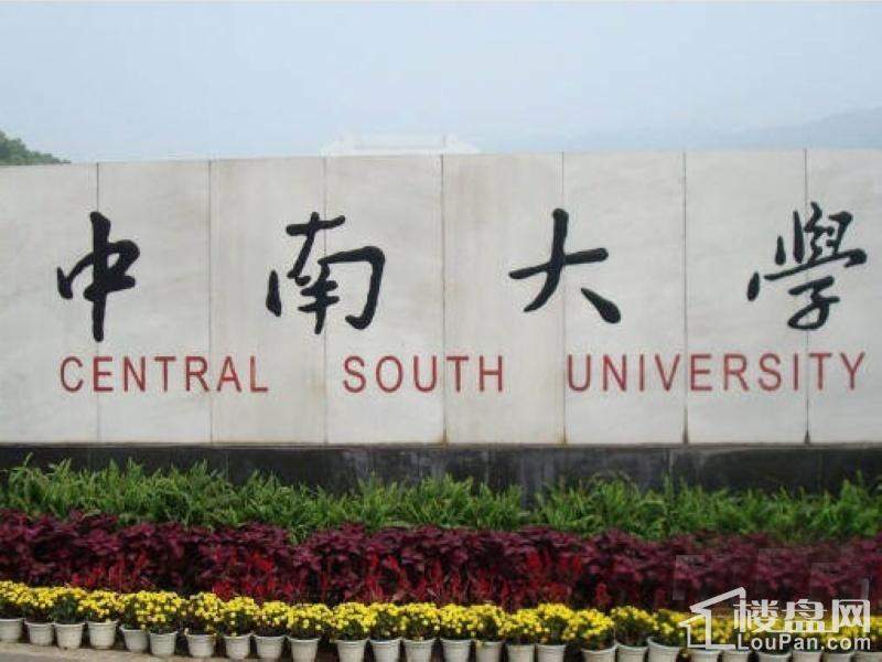 万科金域缇香周边中南大学