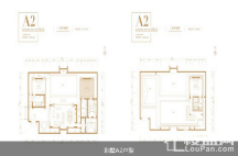 别墅A2户型