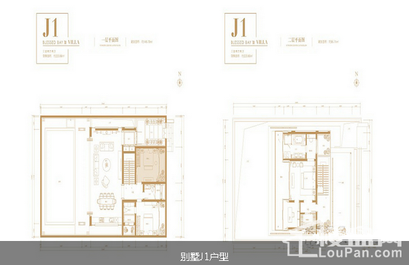 别墅J1户型